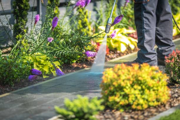 Best Fence Cleaning  in Kelseyville, CA