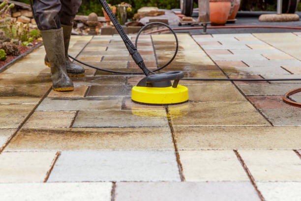 Best Animal Enclosure Cleaning  in Kelseyville, CA